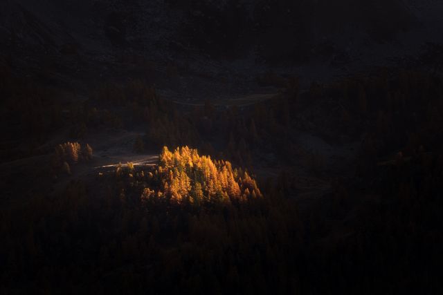 Dernières lueurs d'automne